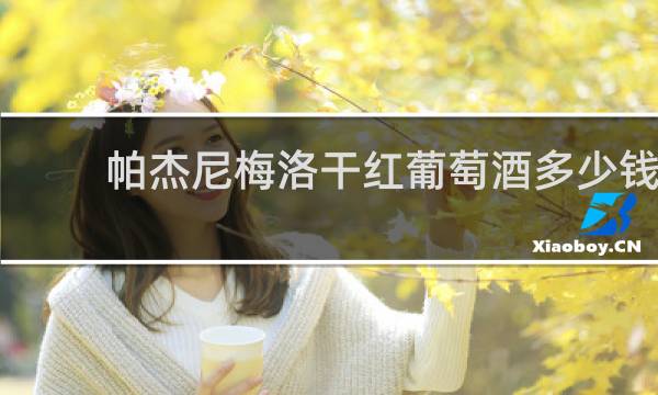 帕杰尼梅洛干红葡萄酒多少钱