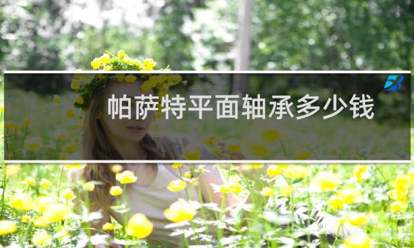 帕萨特平面轴承多少钱