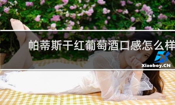 帕蒂斯干红葡萄酒口感怎么样