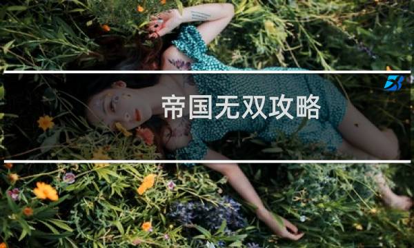 帝国无双攻略
