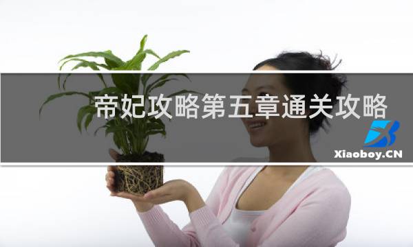 帝妃攻略第五章通关攻略