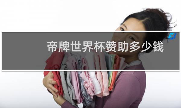 帝牌世界杯赞助多少钱