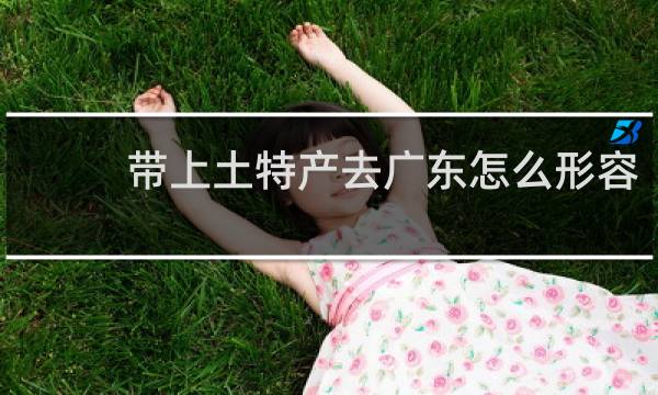 带上土特产去广东怎么形容