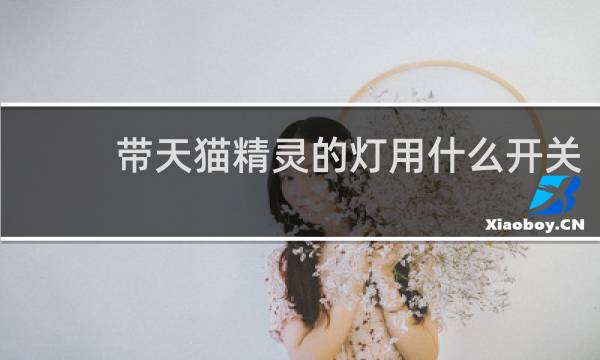 帶天貓精靈的燈用什么開關