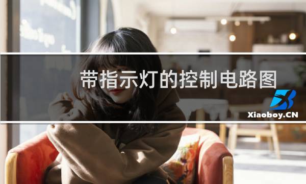 带指示灯的控制电路图