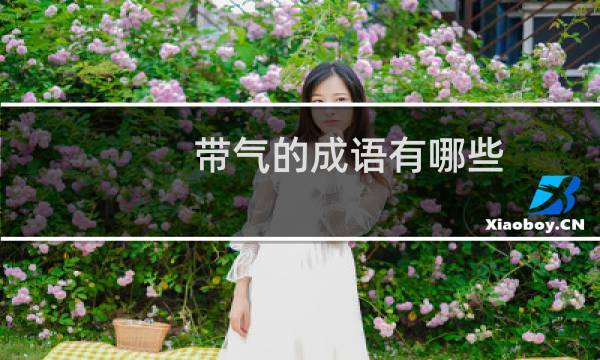 带气的成语有哪些