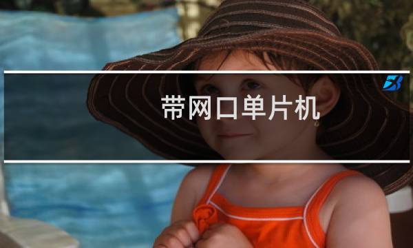 带网口单片机