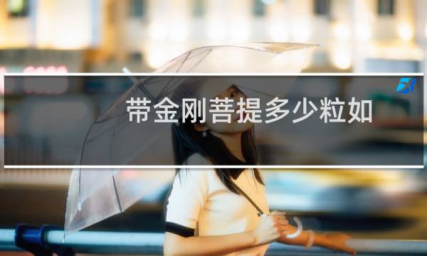带金刚菩提多少粒如