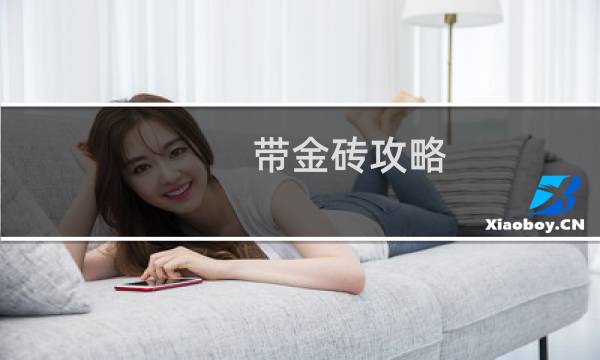 带金砖攻略