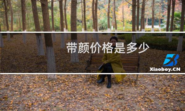 带颜价格是多少