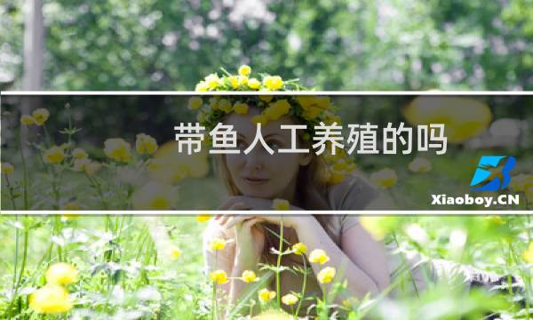 带鱼人工养殖的吗