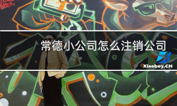 常德小公司怎么注销公司