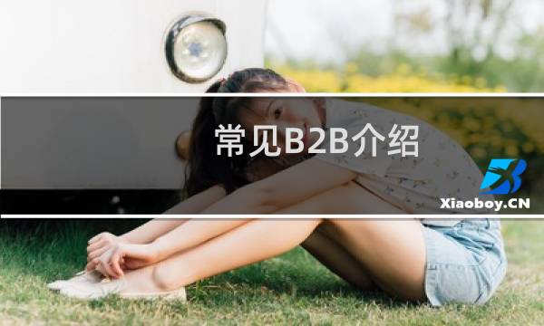 常见B2B介绍