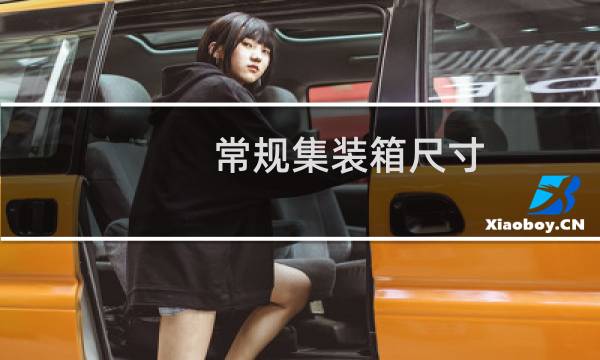 常规集装箱尺寸
