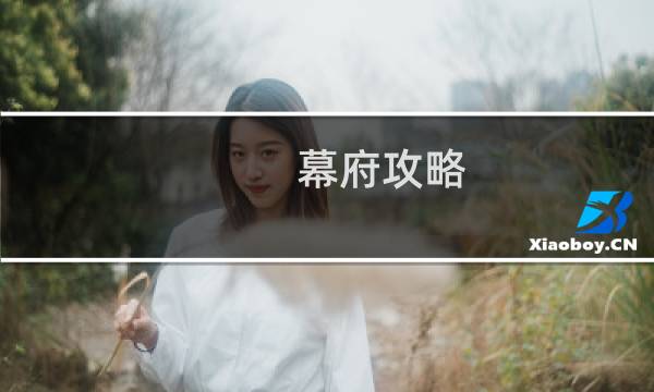 幕府攻略