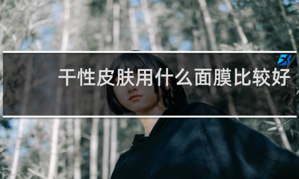 干性皮肤用什么面膜比较好
