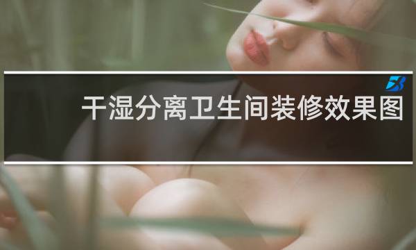 干湿分离卫生间装修效果图