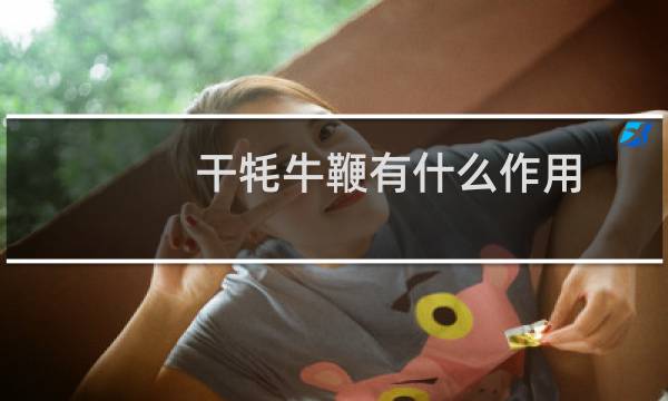 干牦牛鞭有什么作用