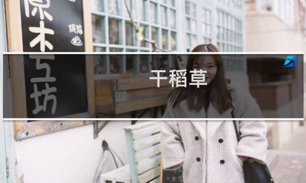 干稻草 稻草