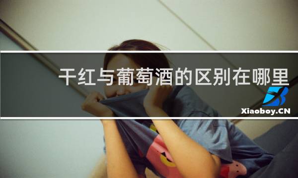 干红与葡萄酒的区别在哪里