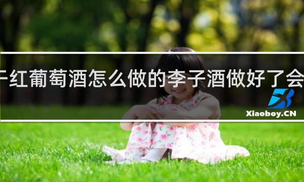 干红葡萄酒怎么做的李子酒做好了会不会酸