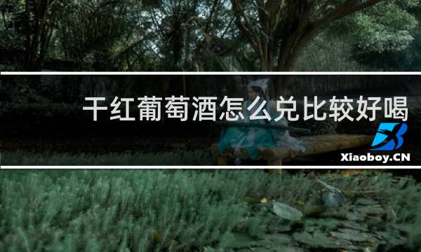 干红葡萄酒怎么兑比较好喝