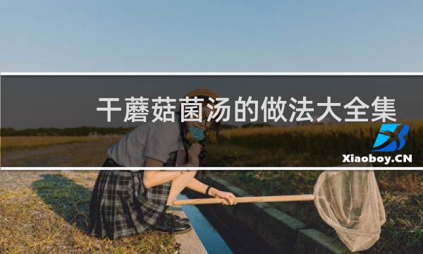干蘑菇菌汤的做法大全集