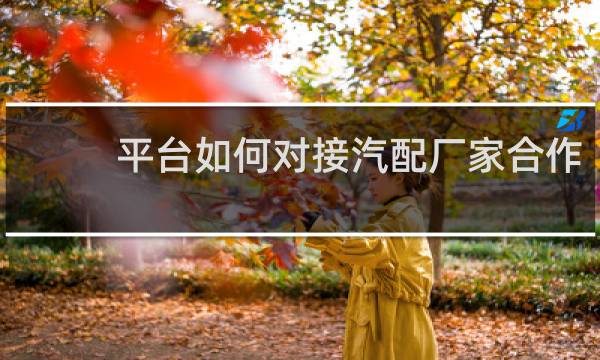 平台如何对接汽配厂家合作