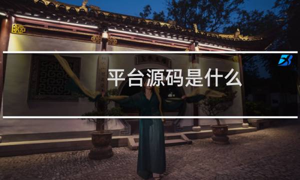 平台源码是什么