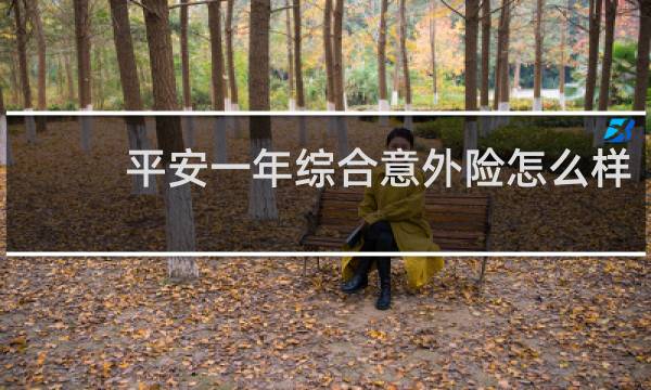 平安一年综合意外险怎么样