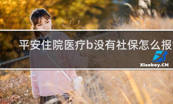 平安住院医疗b没有社保怎么报销
