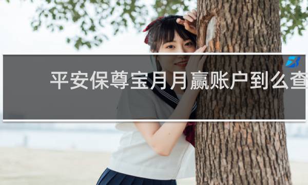 平安保尊宝月月赢账户到么查