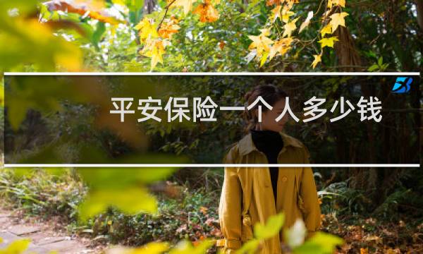 平安保险一个人多少钱