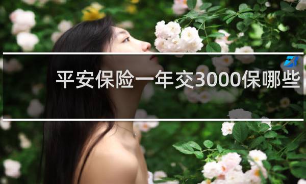 平安保险一年交3000保哪些