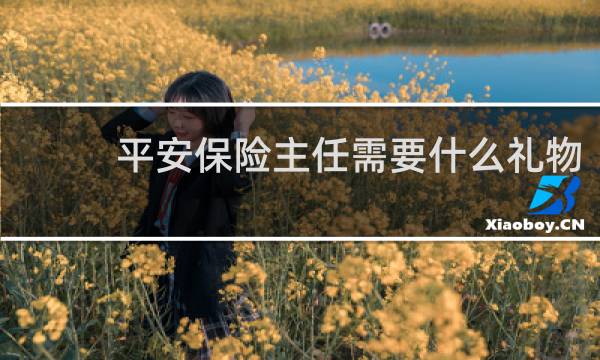 平安保险主任需要什么礼物