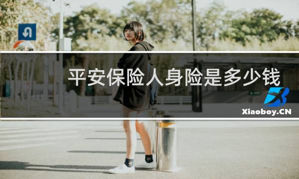 平安保险人身险是多少钱