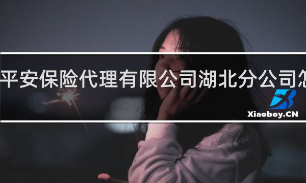 平安保险代理有限公司湖北分公司怎么样