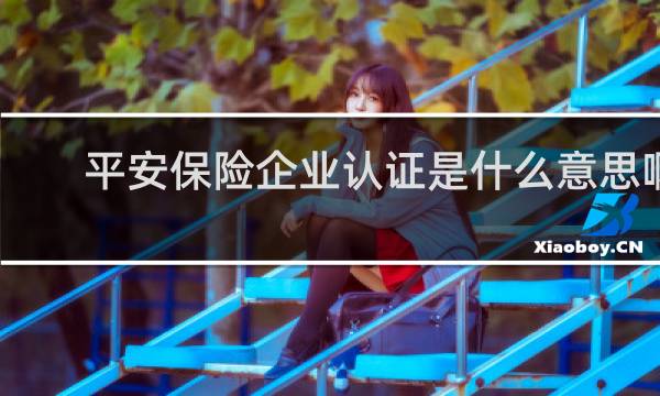 平安保险企业认证是什么意思啊