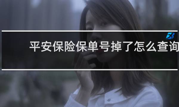 平安保险保单号掉了怎么查询