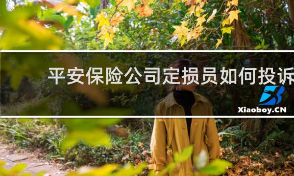 平安保险公司定损员如何投诉