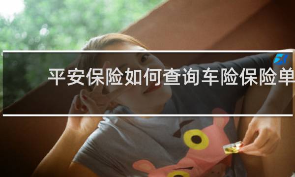 平安保险如何查询车险保险单