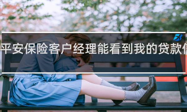 平安保险客户经理能看到我的贷款信息吗