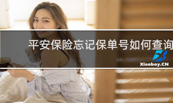 平安保险忘记保单号如何查询