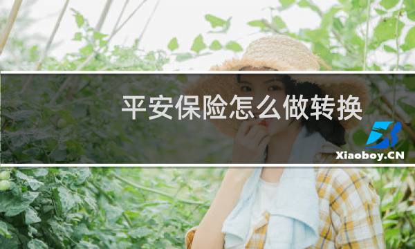 平安保险怎么做转换