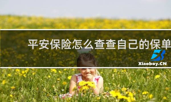 平安保险怎么查查自己的保单