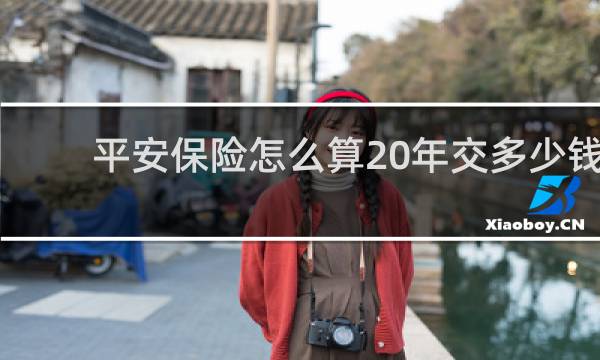 平安保险怎么算20年交多少钱