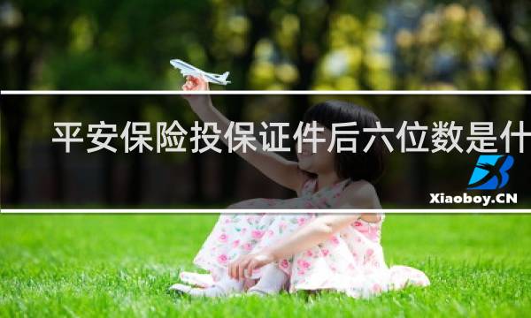 平安保险投保证件后六位数是什么