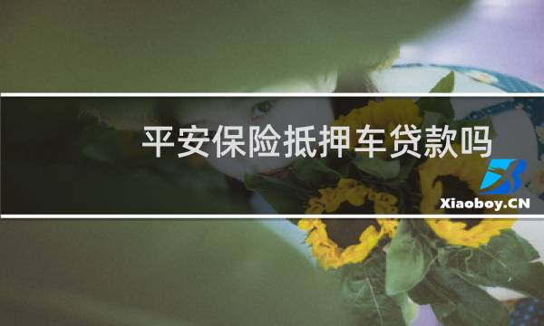 平安保险抵押车贷款吗