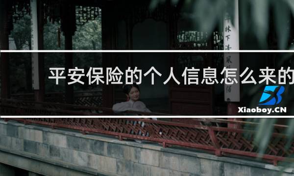 平安保险的个人信息怎么来的