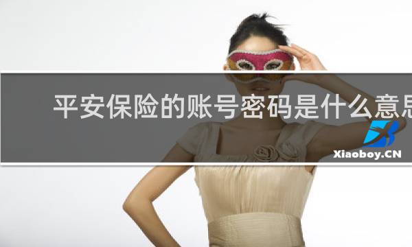 平安保险的账号密码是什么意思
